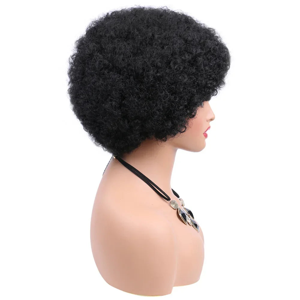 Afro Wigs For Women Short 70s Kinky Curly Wigs Bouncy And Soft Natural Looking Fluffy Explosive Head Wig For Party And Daily Use
