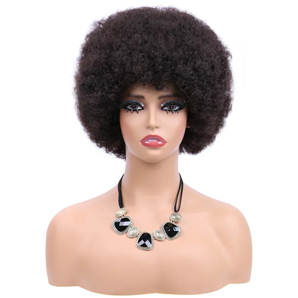 Afro Wigs For Women Short 70s Kinky Curly Wigs Bouncy And Soft Natural Looking Fluffy Explosive Head Wig For Party And Daily Use