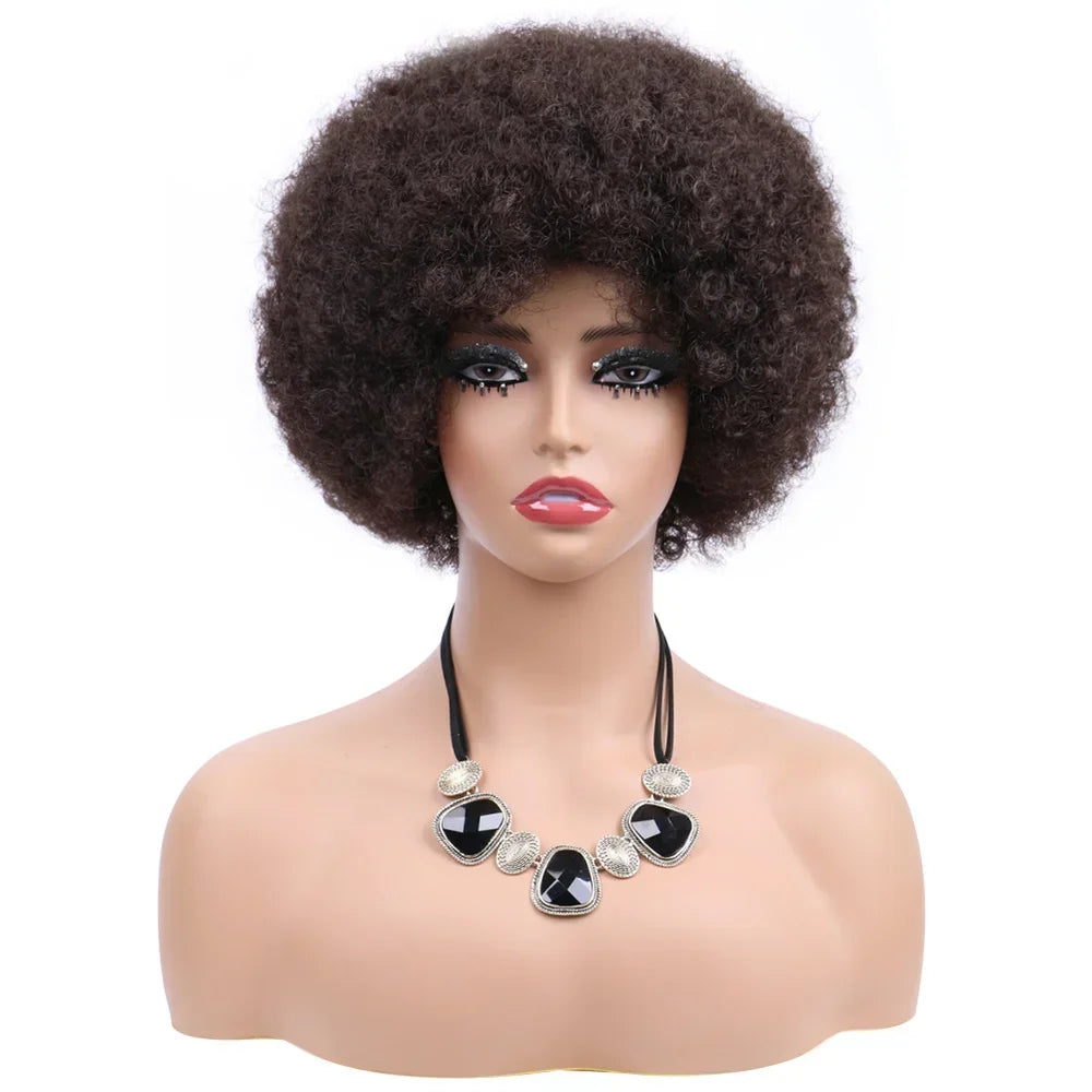 Afro Wigs For Women Short 70s Kinky Curly Wigs Bouncy And Soft Natural Looking Fluffy Explosive Head Wig For Party And Daily Use