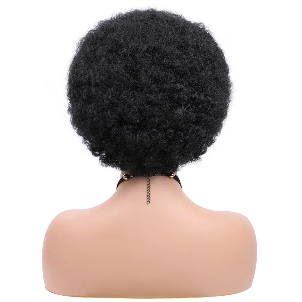 Afro Wigs For Women Short 70s Kinky Curly Wigs Bouncy And Soft Natural Looking Fluffy Explosive Head Wig For Party And Daily Use