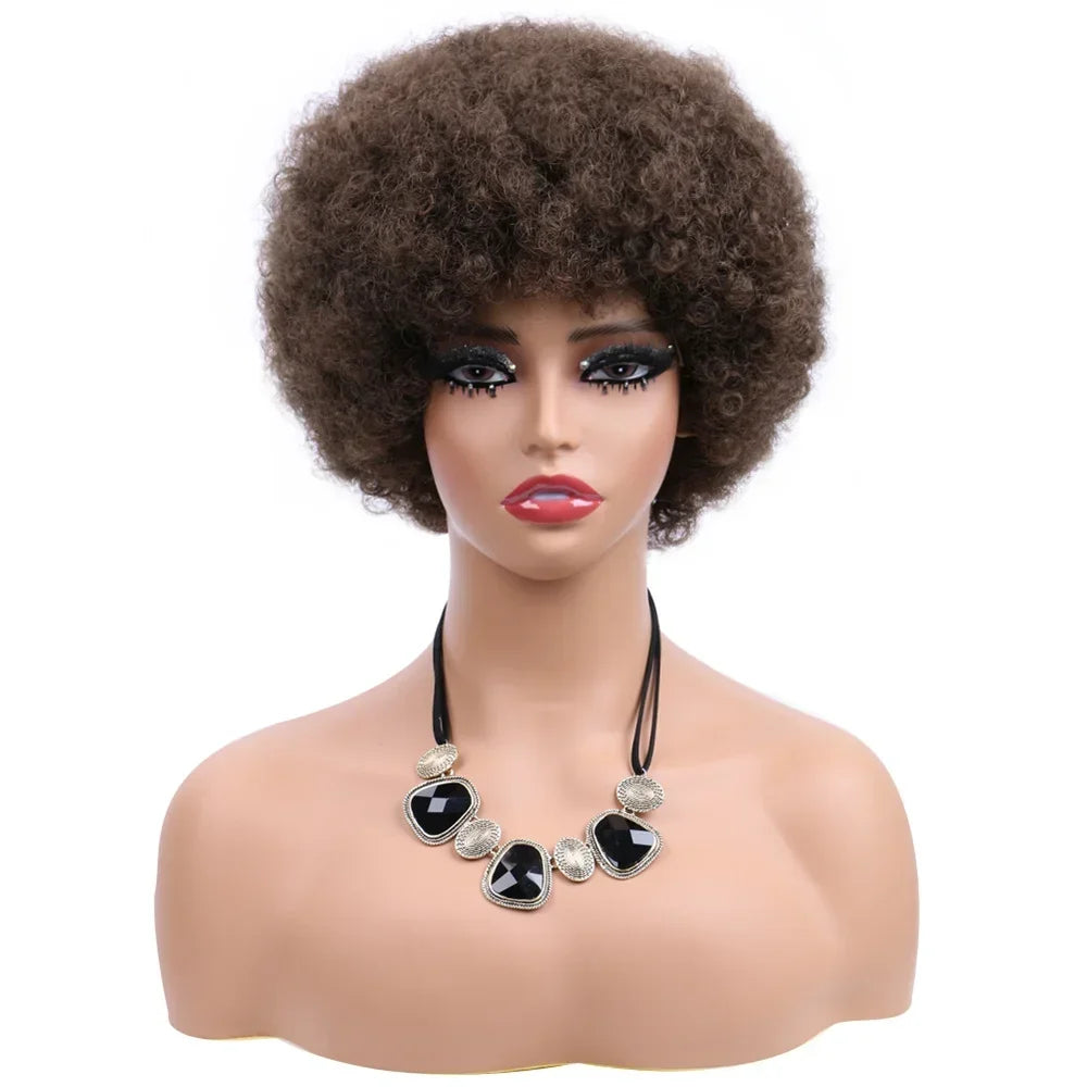 Afro Wigs For Women Short 70s Kinky Curly Wigs Bouncy And Soft Natural Looking Fluffy Explosive Head Wig For Party And Daily Use
