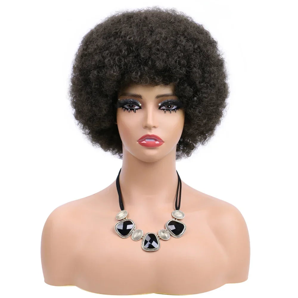 Afro Wigs For Women Short 70s Kinky Curly Wigs Bouncy And Soft Natural Looking Fluffy Explosive Head Wig For Party And Daily Use