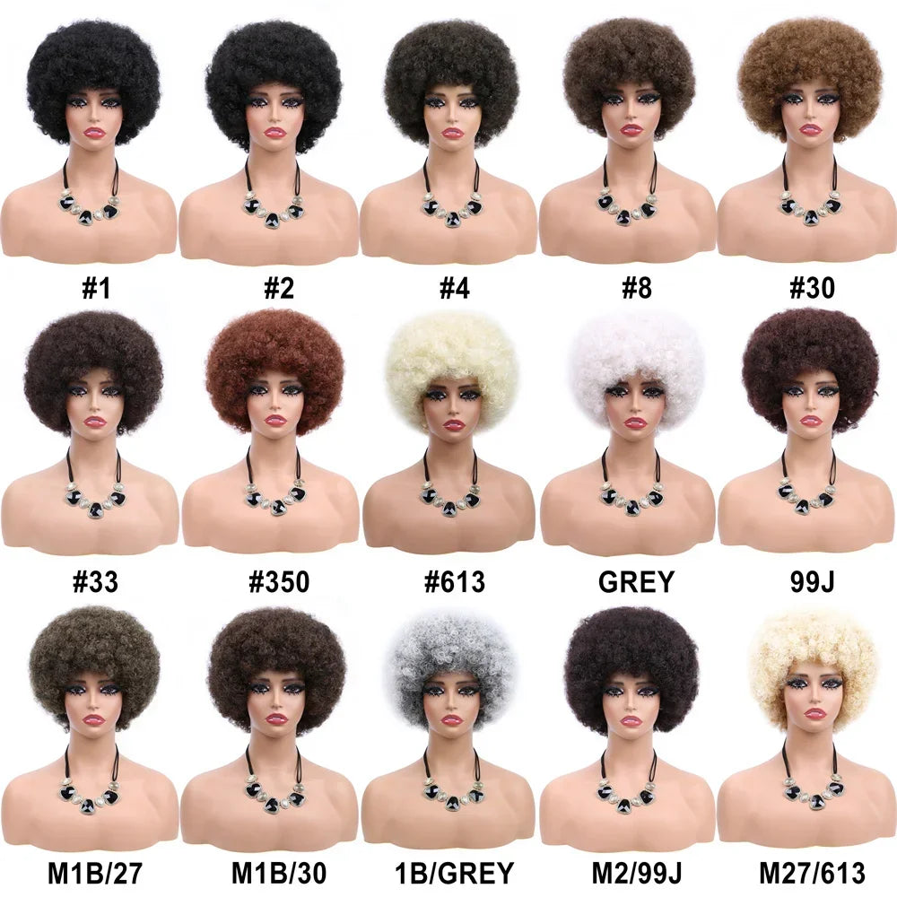 Afro Wigs For Women Short 70s Kinky Curly Wigs Bouncy And Soft Natural Looking Fluffy Explosive Head Wig For Party And Daily Use